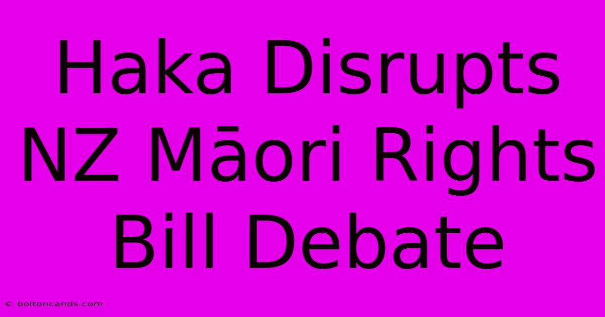 Haka Disrupts NZ Māori Rights Bill Debate 