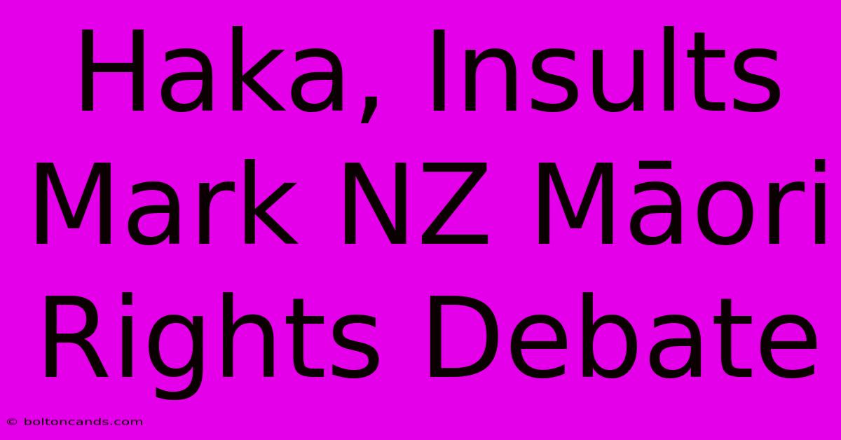 Haka, Insults Mark NZ Māori Rights Debate