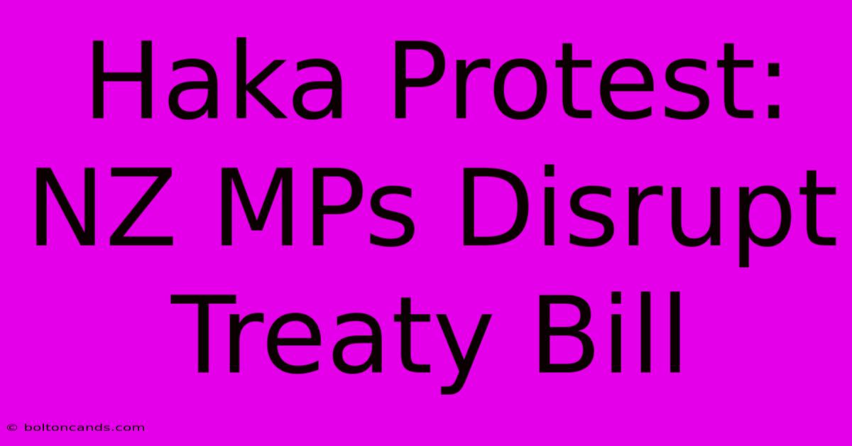 Haka Protest: NZ MPs Disrupt Treaty Bill