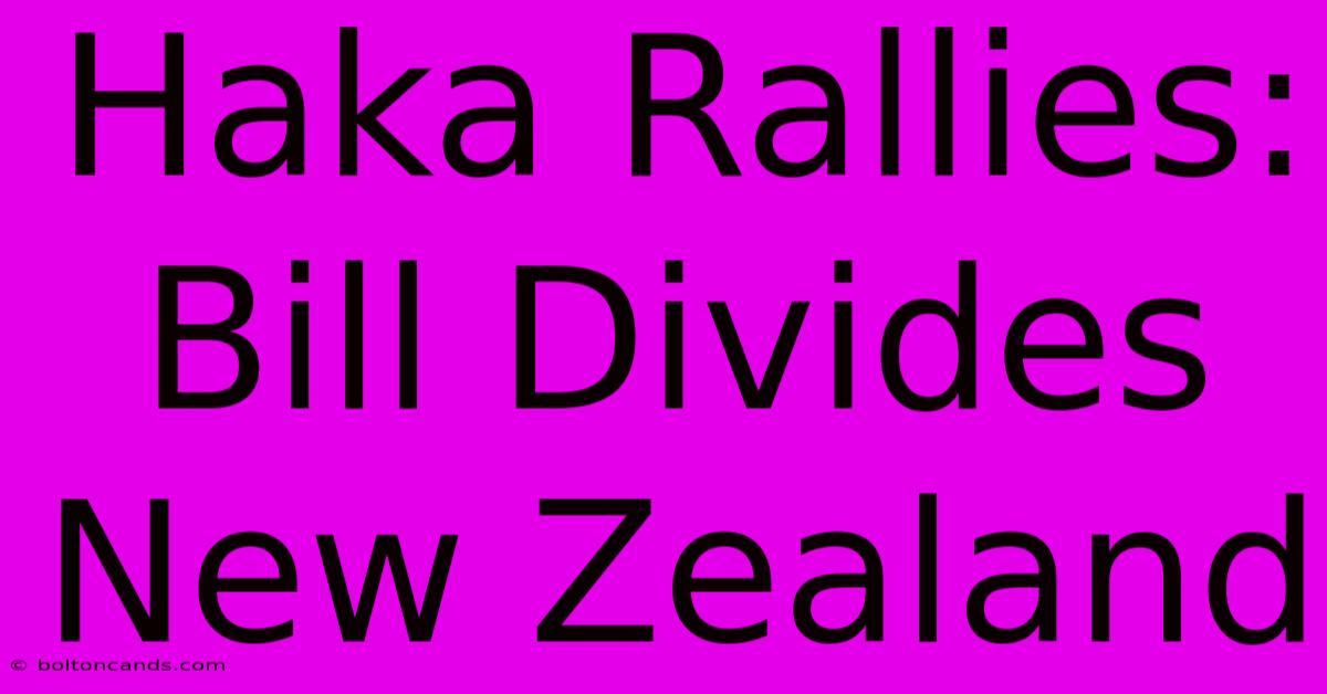 Haka Rallies: Bill Divides New Zealand