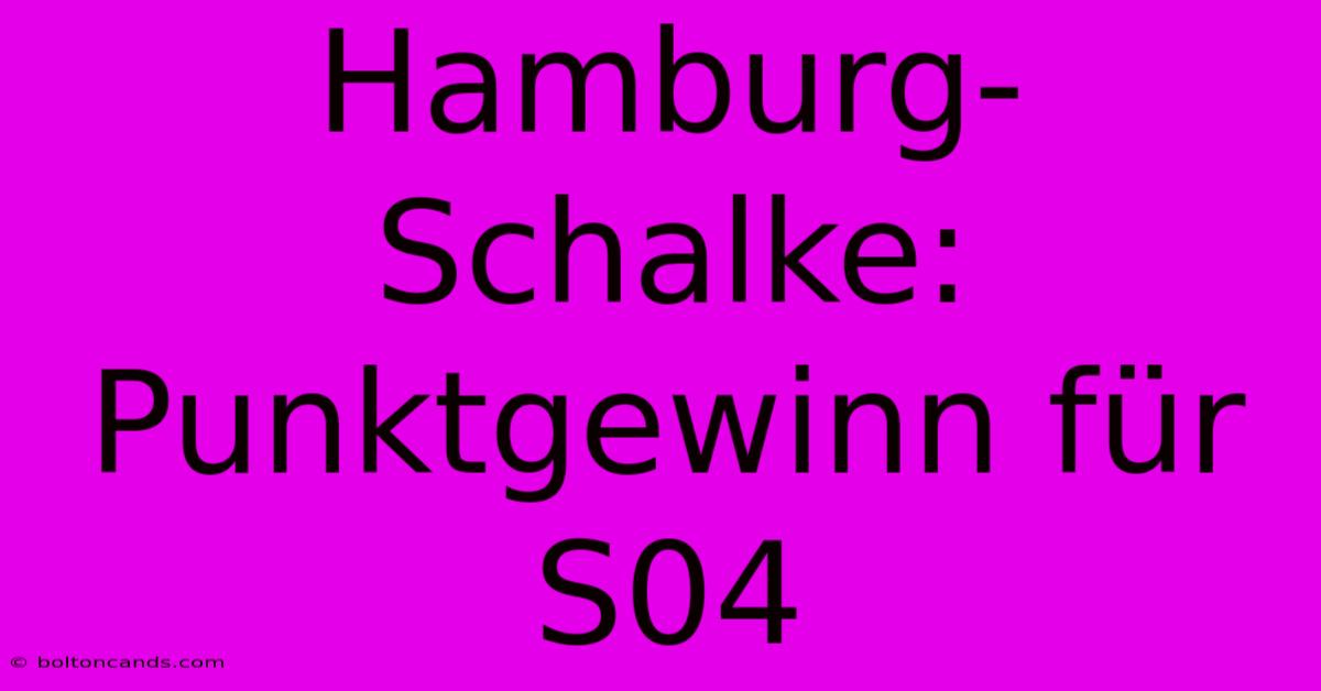 Hamburg-Schalke: Punktgewinn Für S04