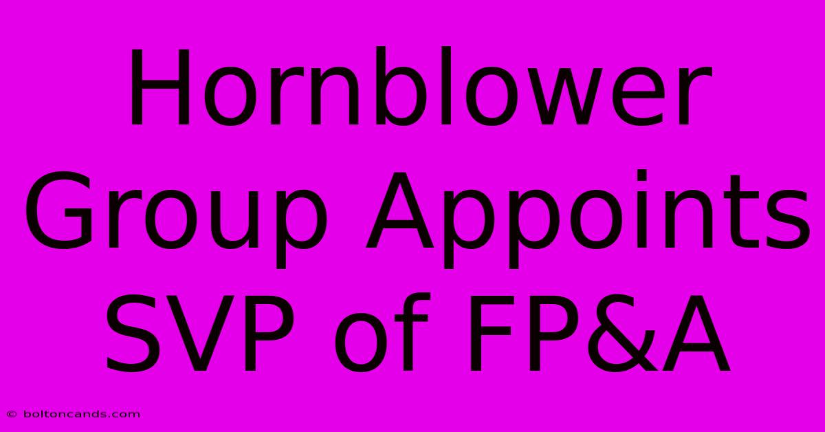 Hornblower Group Appoints SVP Of FP&A