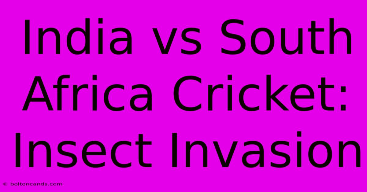 India Vs South Africa Cricket: Insect Invasion 