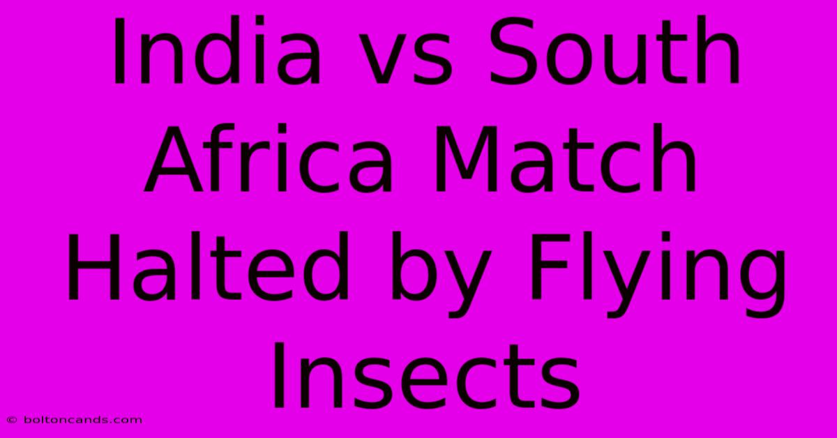 India Vs South Africa Match Halted By Flying Insects