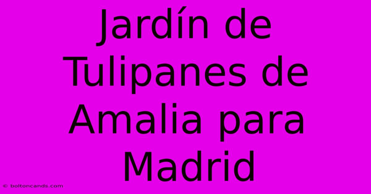 Jardín De Tulipanes De Amalia Para Madrid