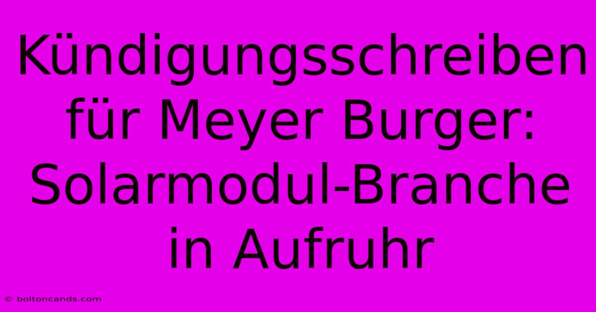 Kündigungsschreiben Für Meyer Burger: Solarmodul-Branche In Aufruhr