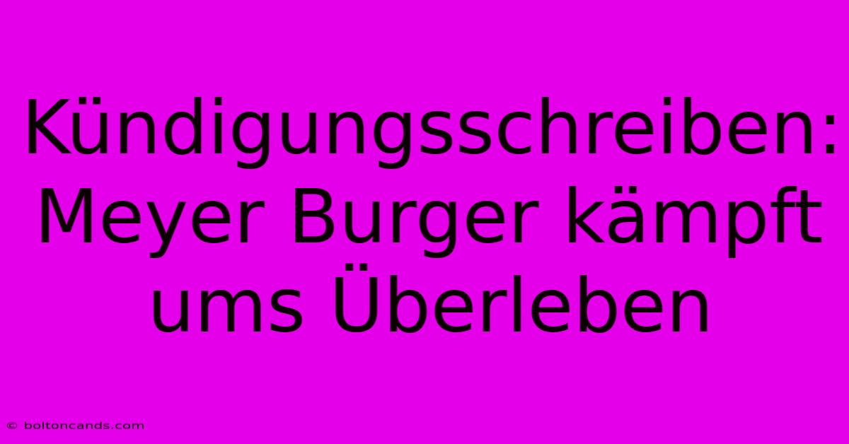 Kündigungsschreiben: Meyer Burger Kämpft Ums Überleben