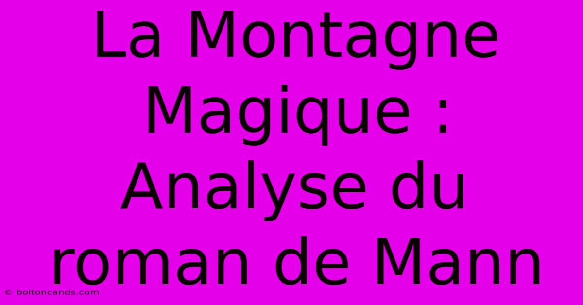 La Montagne Magique : Analyse Du Roman De Mann