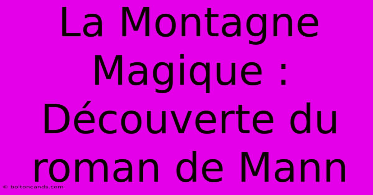 La Montagne Magique : Découverte Du Roman De Mann 