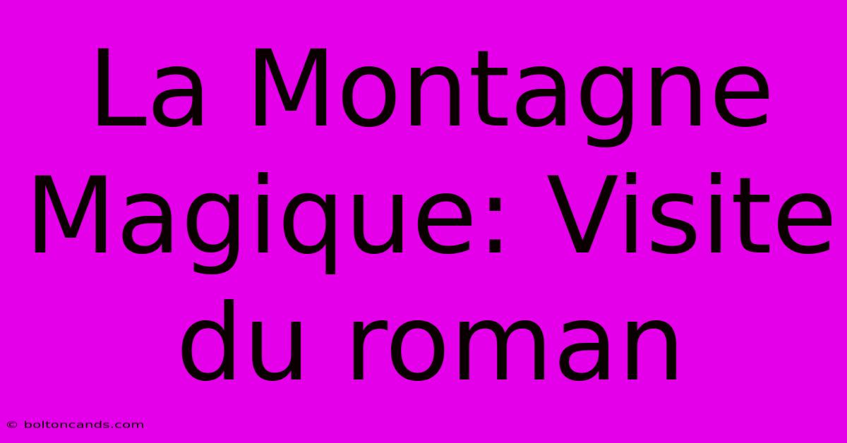 La Montagne Magique: Visite Du Roman