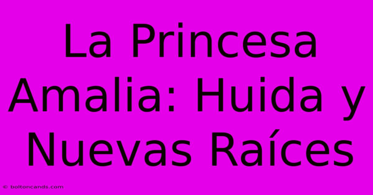 La Princesa Amalia: Huida Y Nuevas Raíces