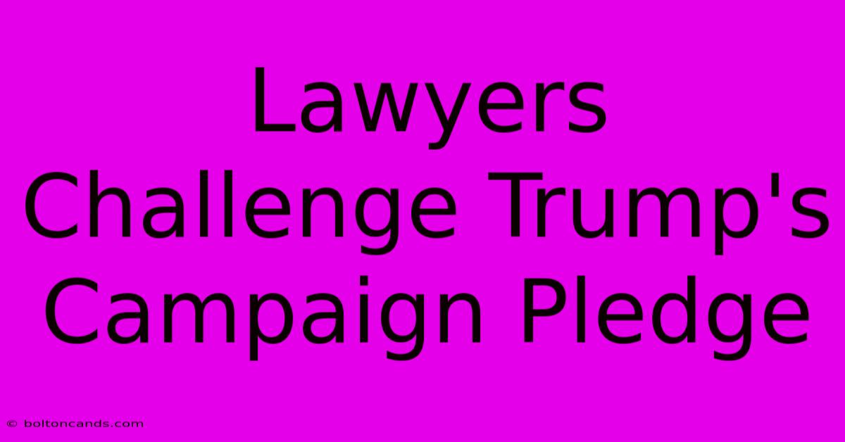 Lawyers Challenge Trump's Campaign Pledge