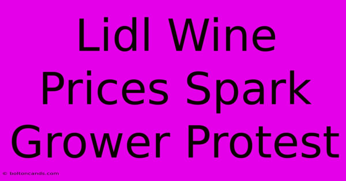 Lidl Wine Prices Spark Grower Protest