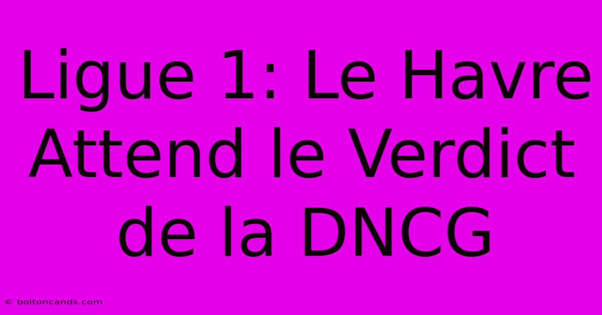 Ligue 1: Le Havre Attend Le Verdict De La DNCG 