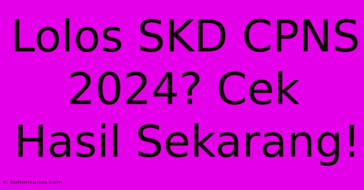 Lolos SKD CPNS 2024? Cek Hasil Sekarang!