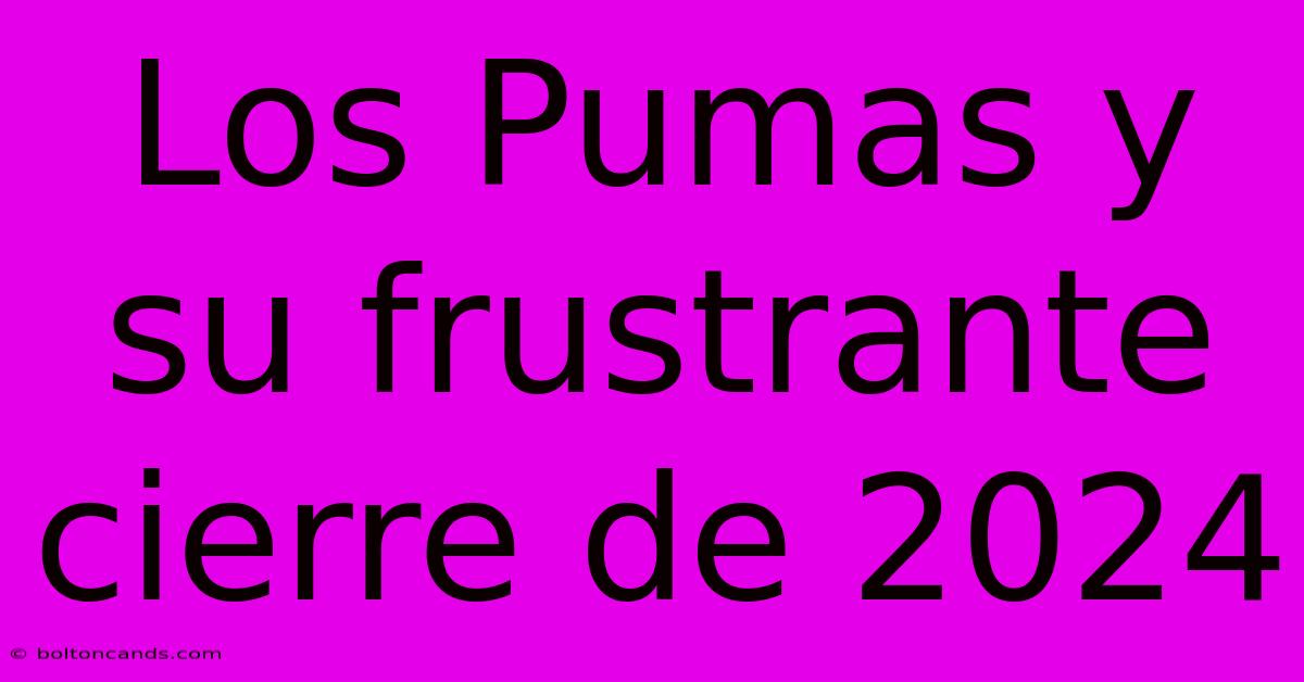 Los Pumas Y Su Frustrante Cierre De 2024