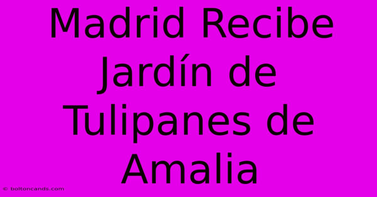 Madrid Recibe Jardín De Tulipanes De Amalia 