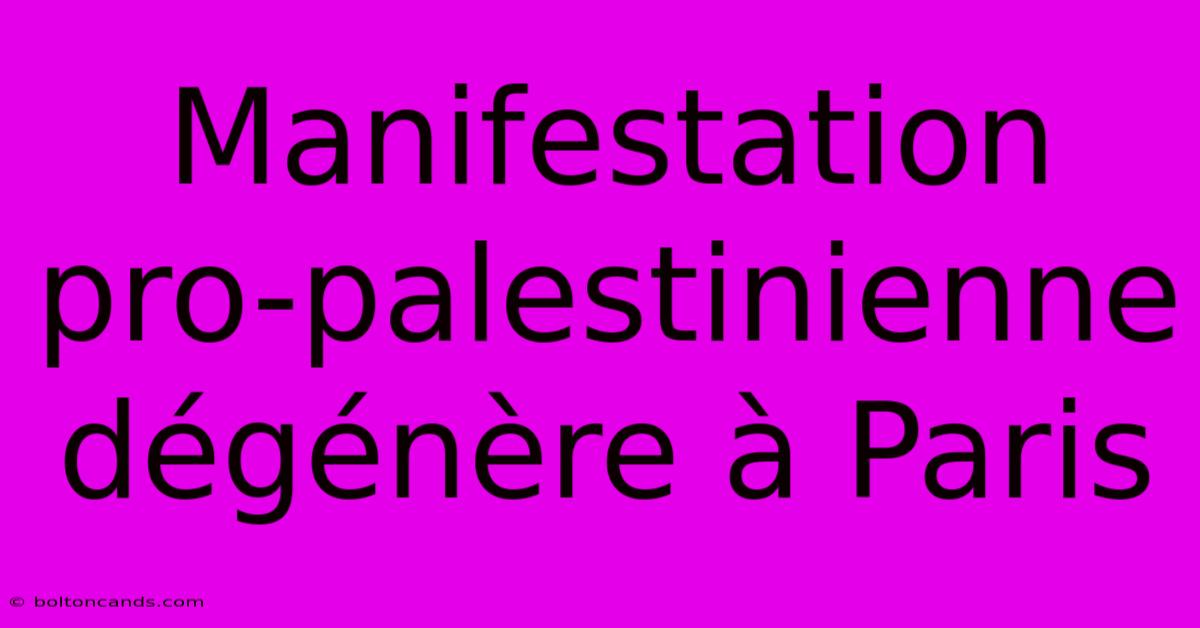 Manifestation Pro-palestinienne Dégénère À Paris