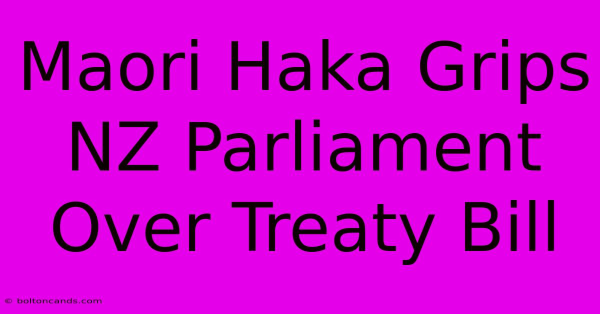 Maori Haka Grips NZ Parliament Over Treaty Bill