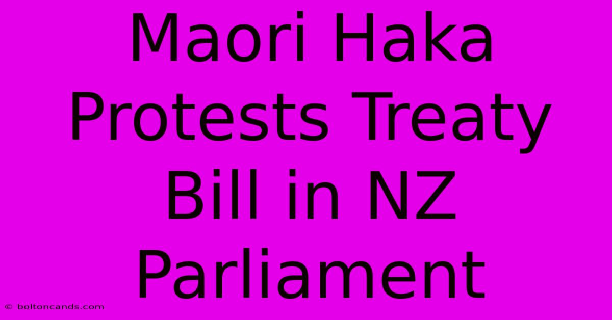 Maori Haka Protests Treaty Bill In NZ Parliament