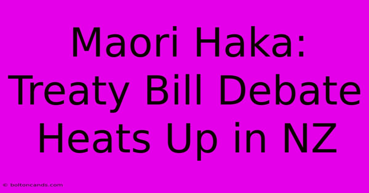 Maori Haka: Treaty Bill Debate Heats Up In NZ