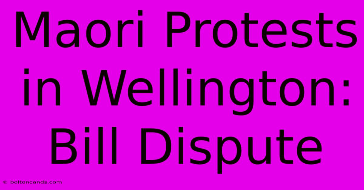 Maori Protests In Wellington: Bill Dispute 