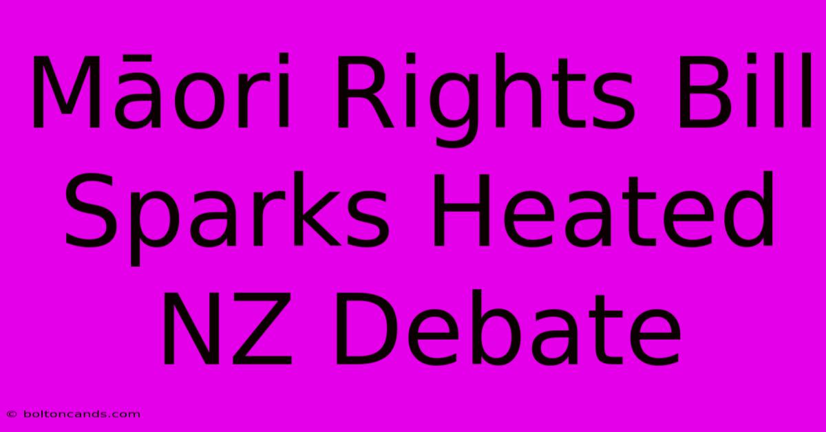 Māori Rights Bill Sparks Heated NZ Debate