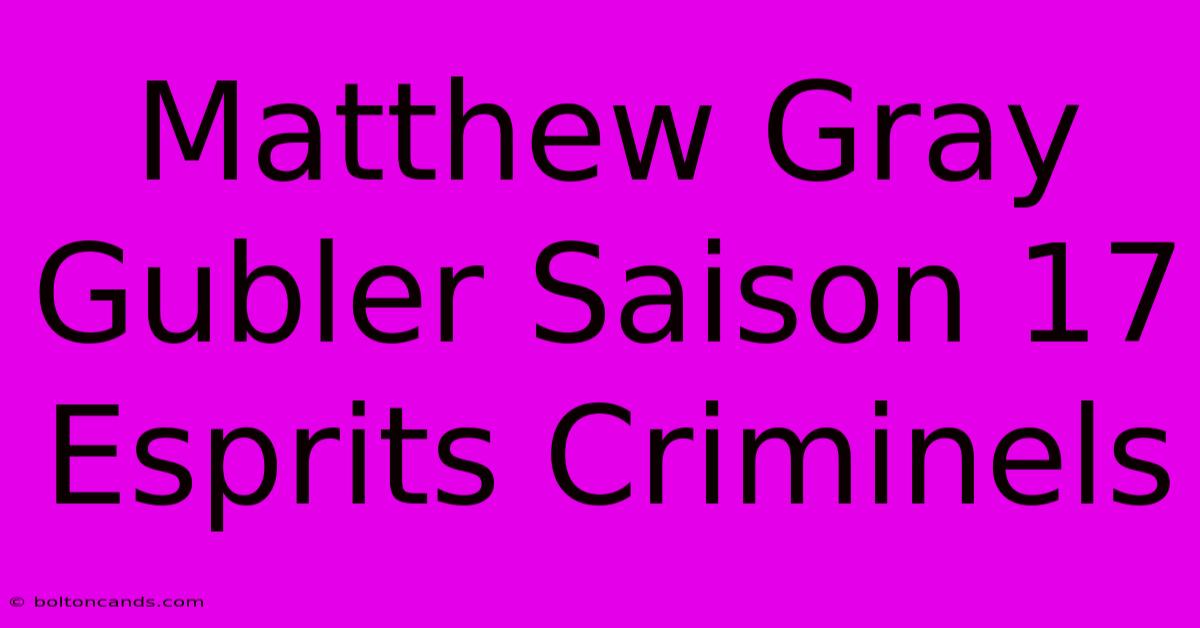 Matthew Gray Gubler Saison 17 Esprits Criminels