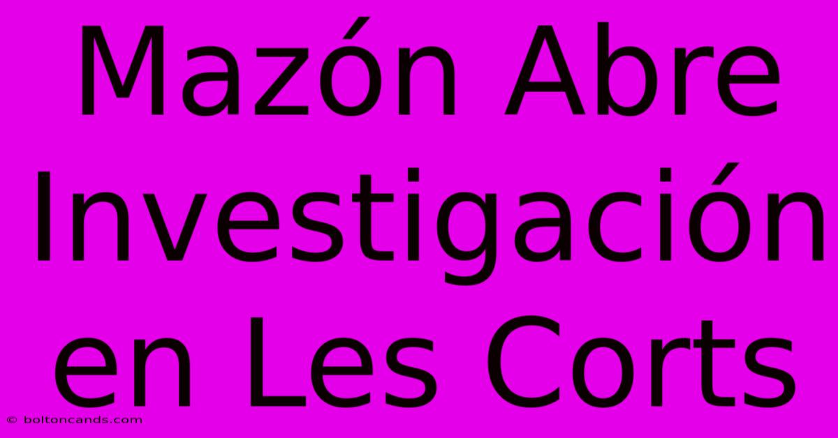 Mazón Abre Investigación En Les Corts