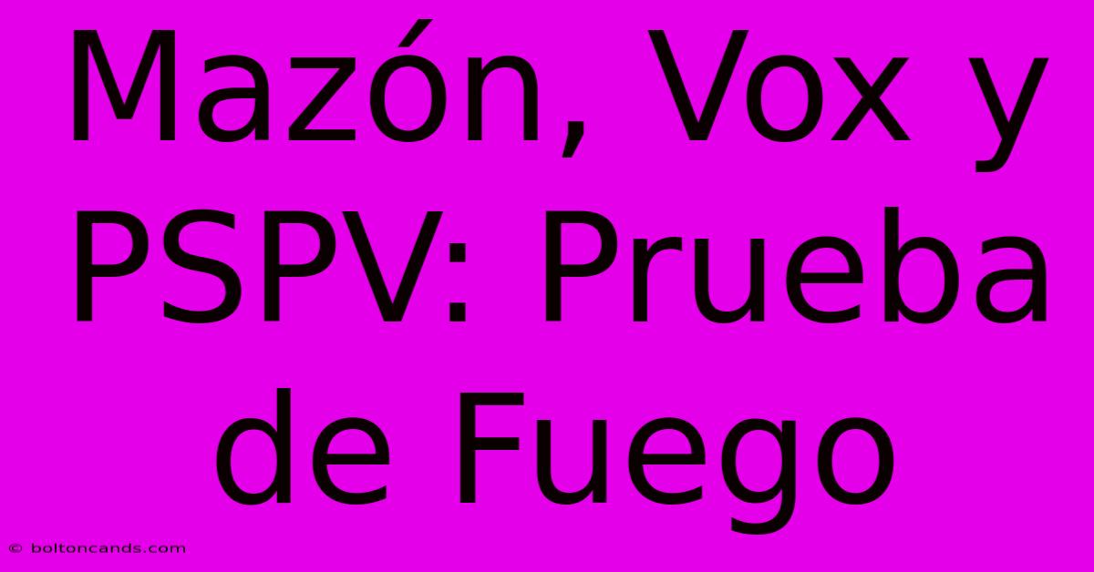 Mazón, Vox Y PSPV: Prueba De Fuego