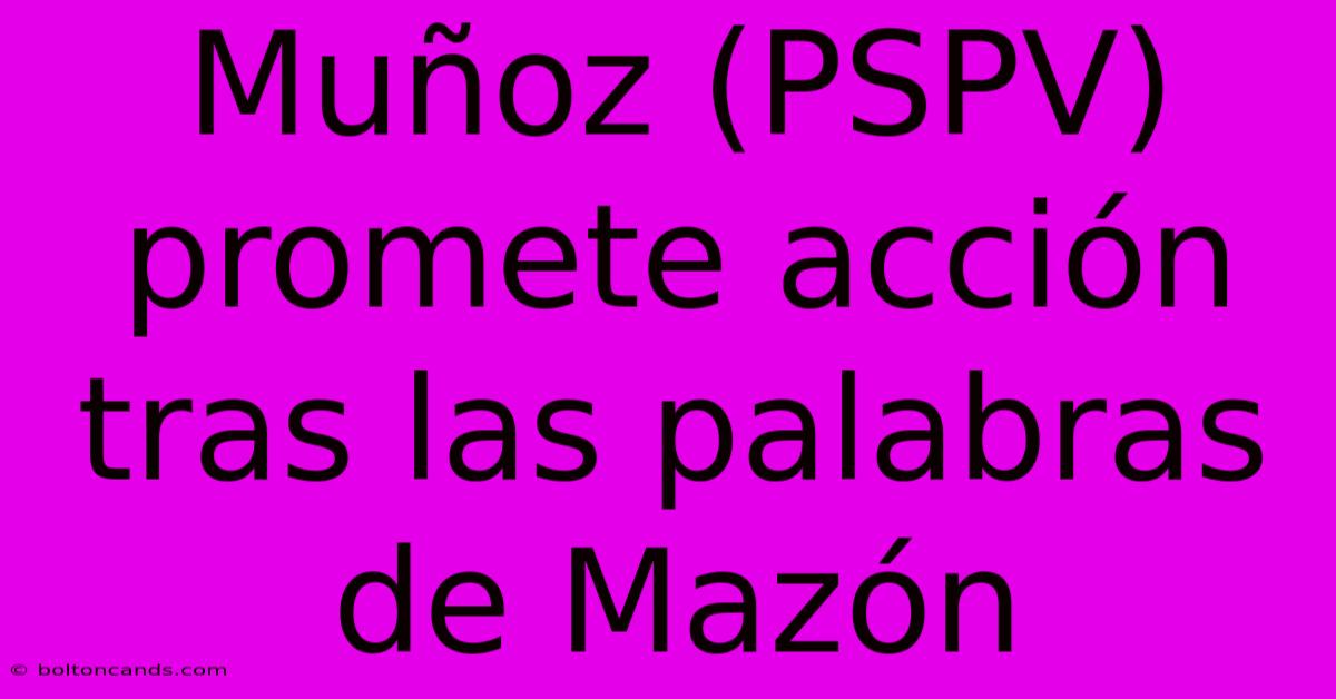 Muñoz (PSPV) Promete Acción Tras Las Palabras De Mazón