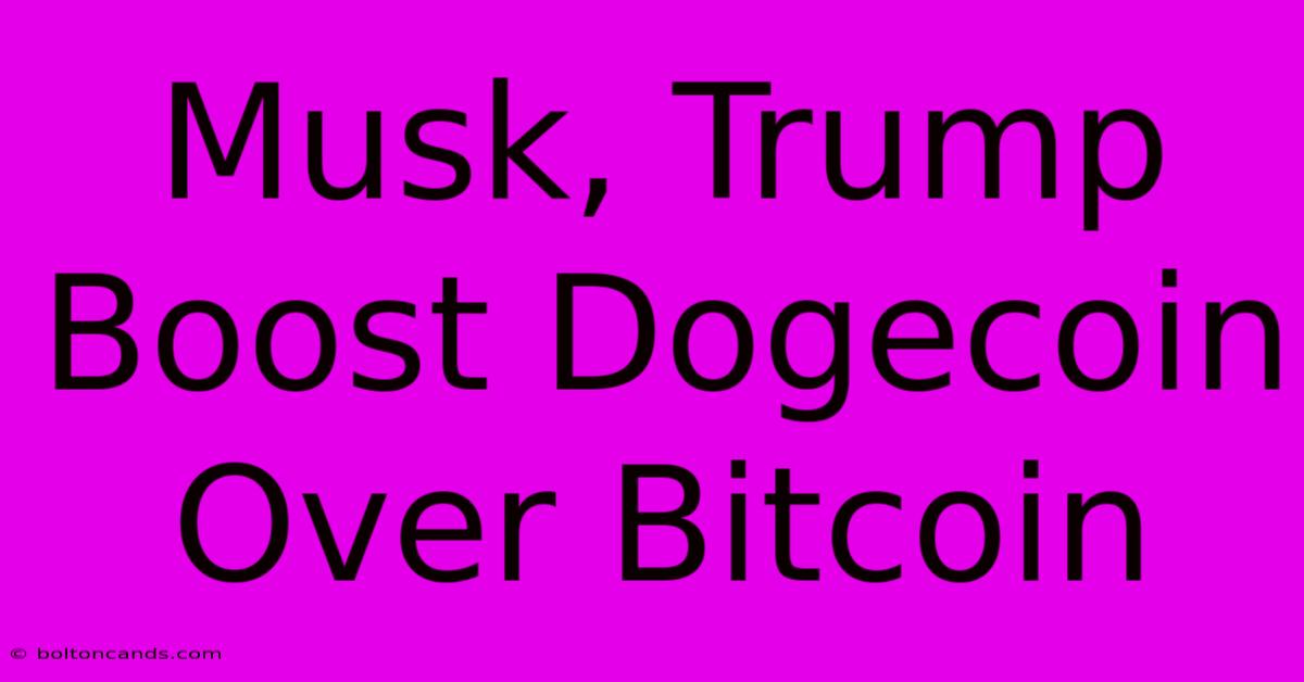 Musk, Trump Boost Dogecoin Over Bitcoin