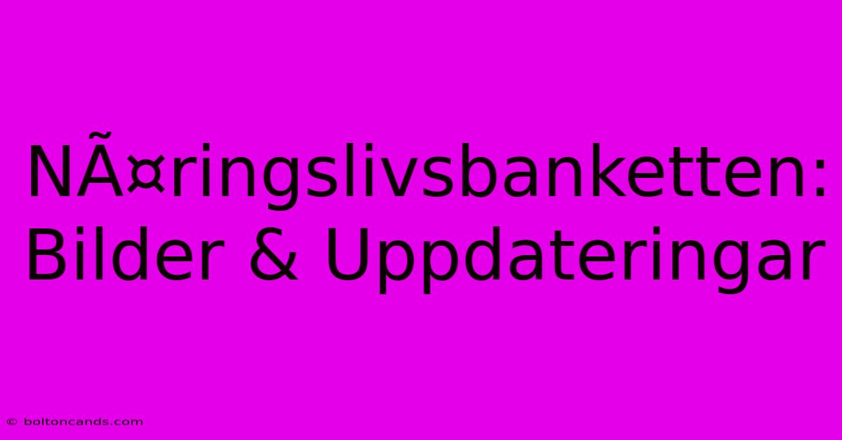 NÃ¤ringslivsbanketten: Bilder & Uppdateringar