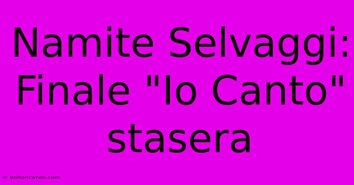 Namite Selvaggi: Finale 