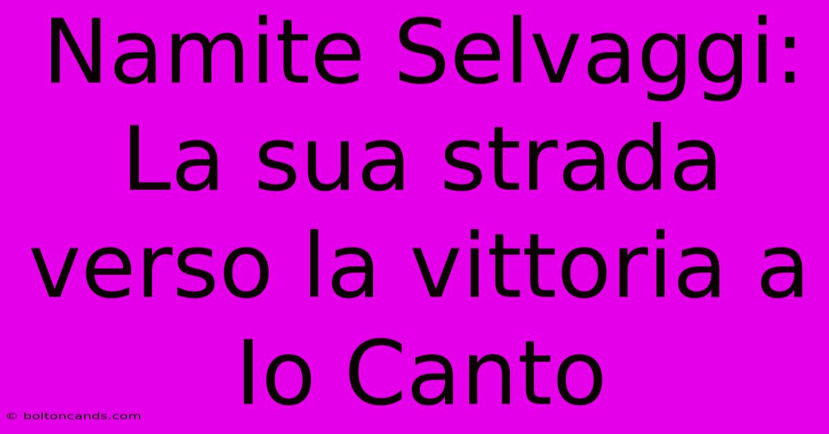 Namite Selvaggi: La Sua Strada Verso La Vittoria A Io Canto 