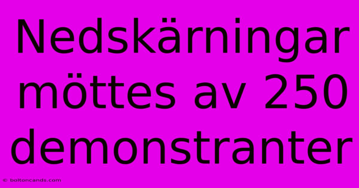 Nedskärningar Möttes Av 250 Demonstranter