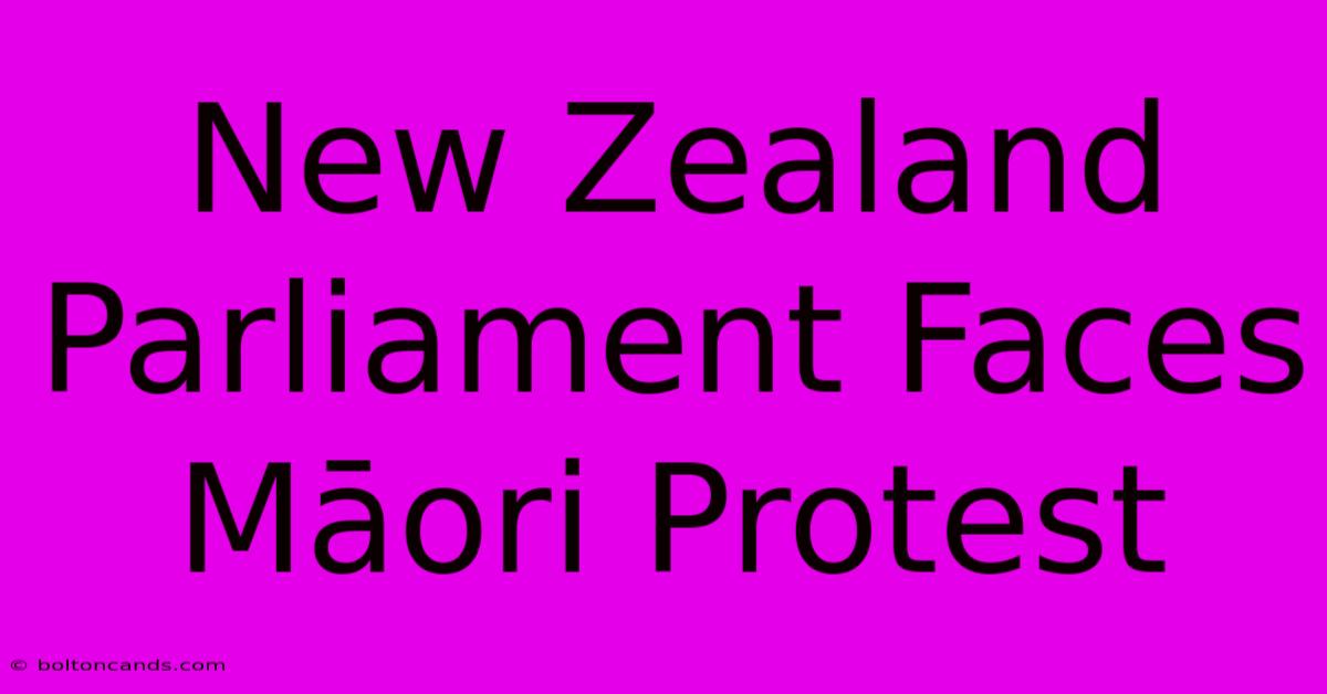 New Zealand Parliament Faces Māori Protest 