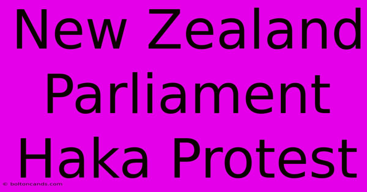 New Zealand Parliament Haka Protest