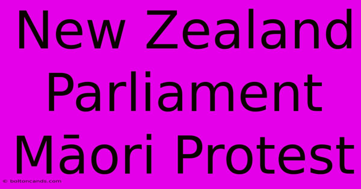 New Zealand Parliament Māori Protest