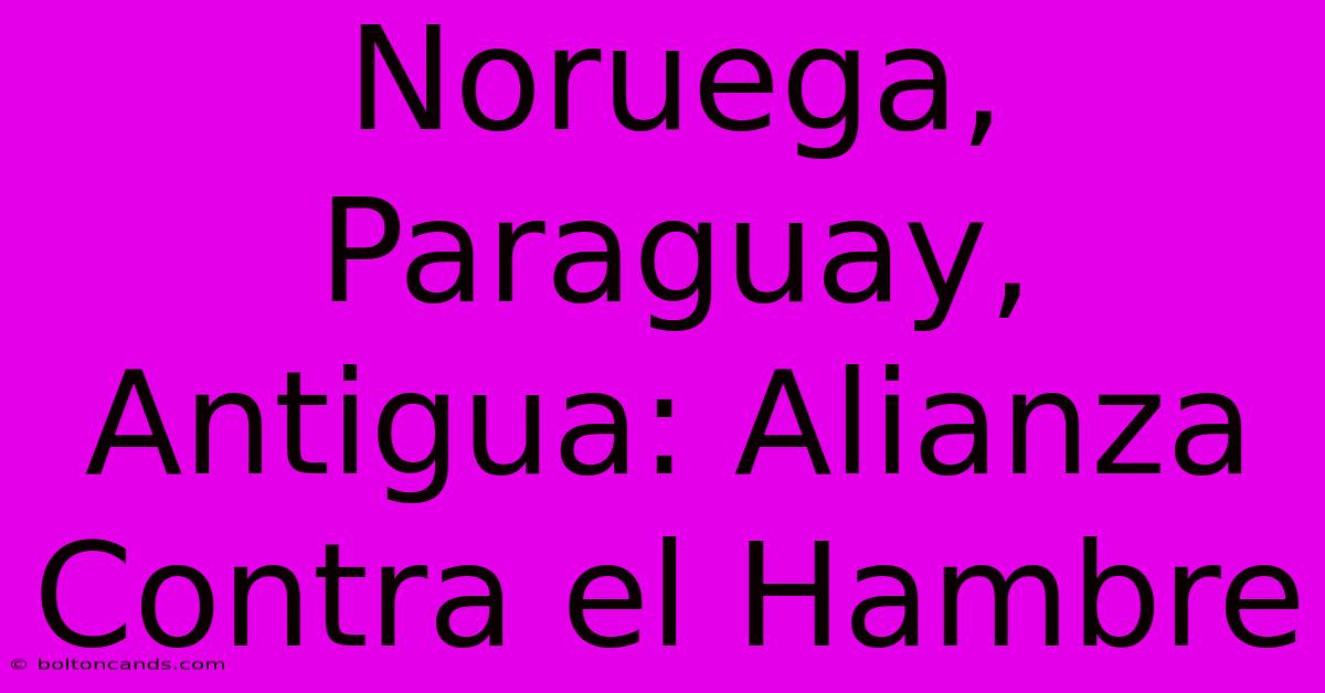 Noruega, Paraguay, Antigua: Alianza Contra El Hambre