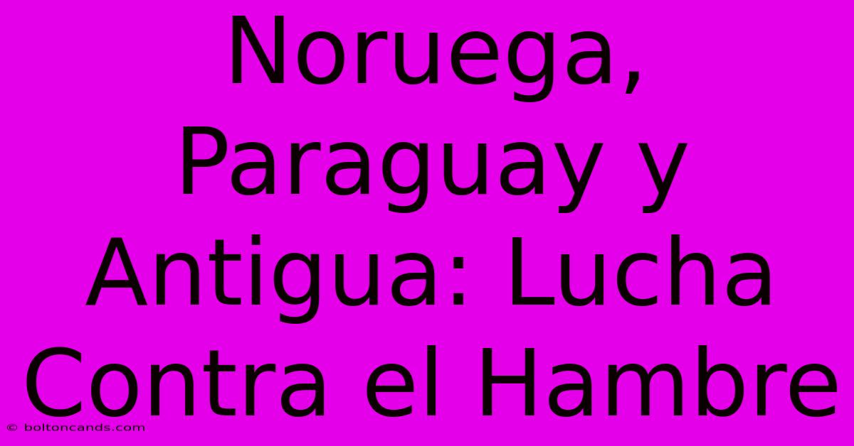 Noruega, Paraguay Y Antigua: Lucha Contra El Hambre