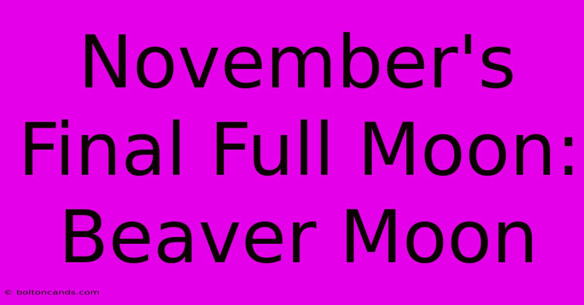 November's Final Full Moon: Beaver Moon