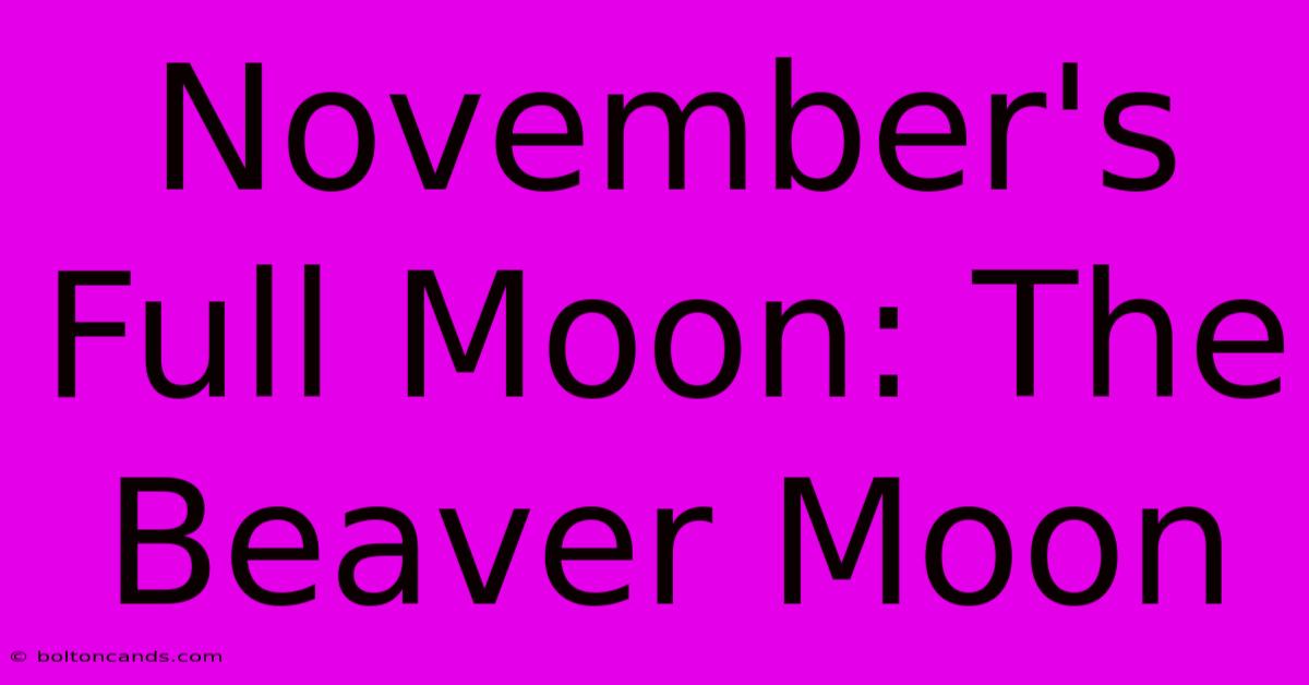 November's Full Moon: The Beaver Moon