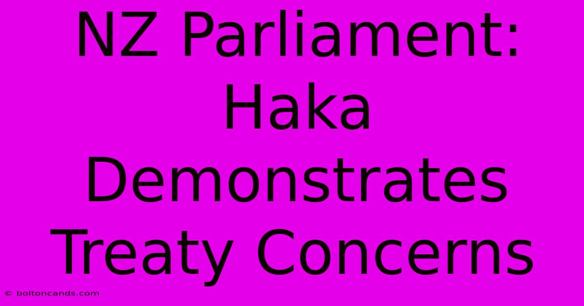 NZ Parliament: Haka Demonstrates Treaty Concerns 