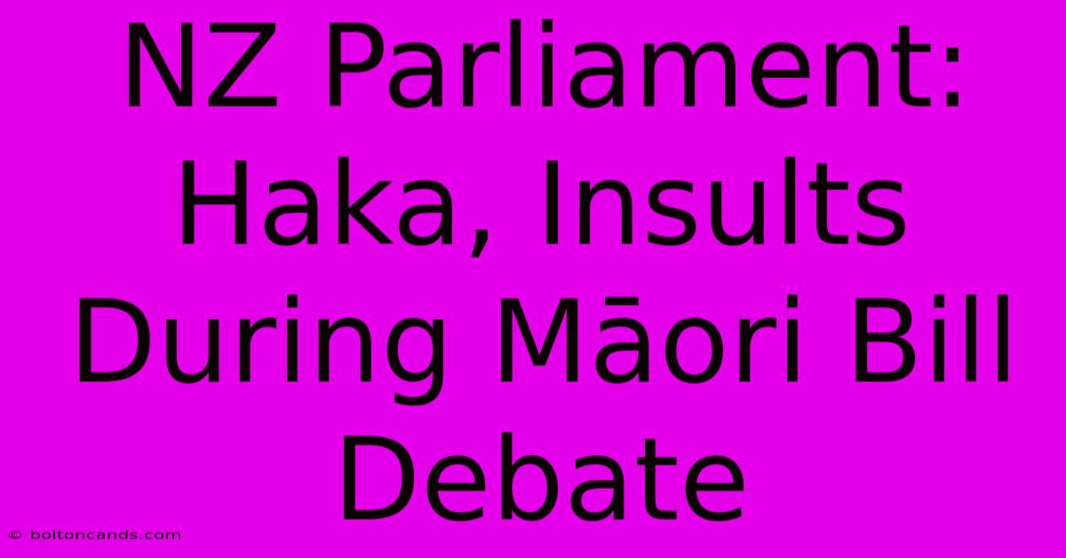 NZ Parliament: Haka, Insults During Māori Bill Debate