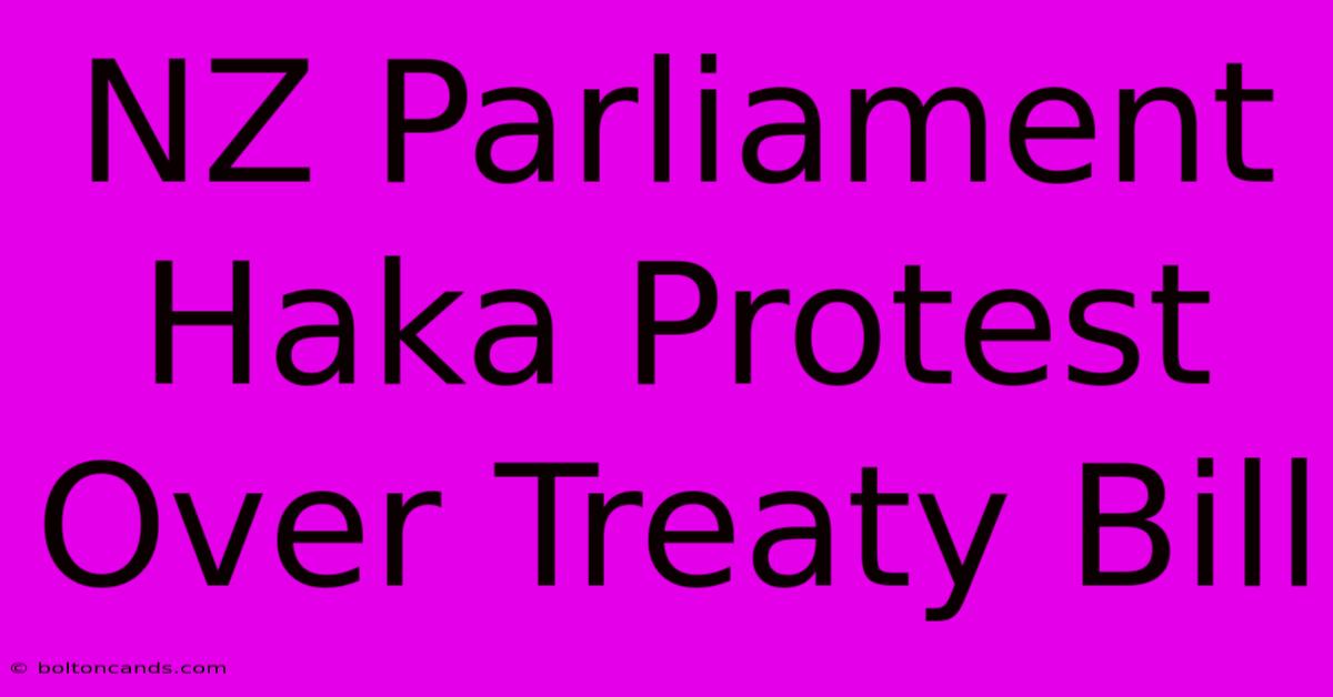 NZ Parliament Haka Protest Over Treaty Bill 