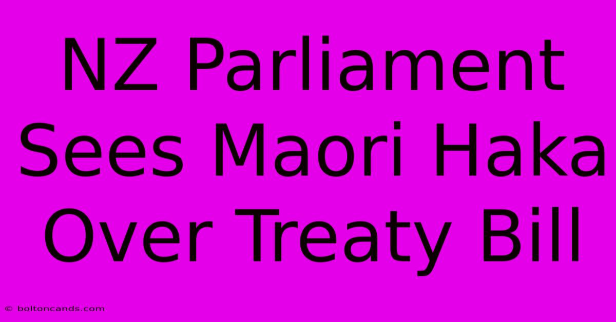 NZ Parliament Sees Maori Haka Over Treaty Bill