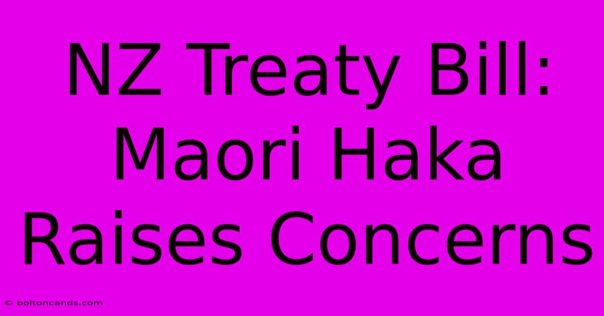 NZ Treaty Bill: Maori Haka Raises Concerns 