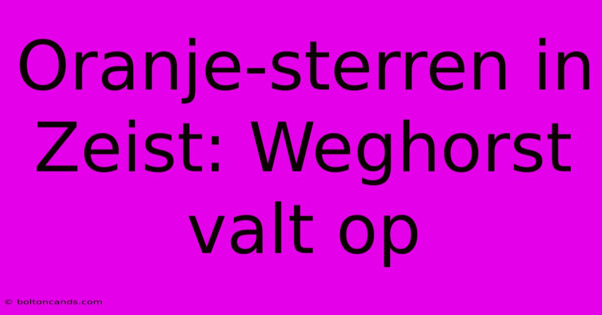 Oranje-sterren In Zeist: Weghorst Valt Op