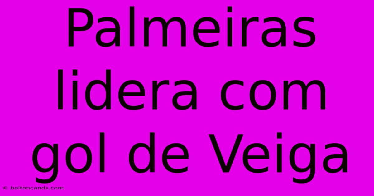 Palmeiras Lidera Com Gol De Veiga